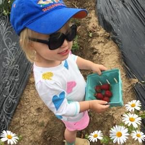 Meet your Posher, Rose